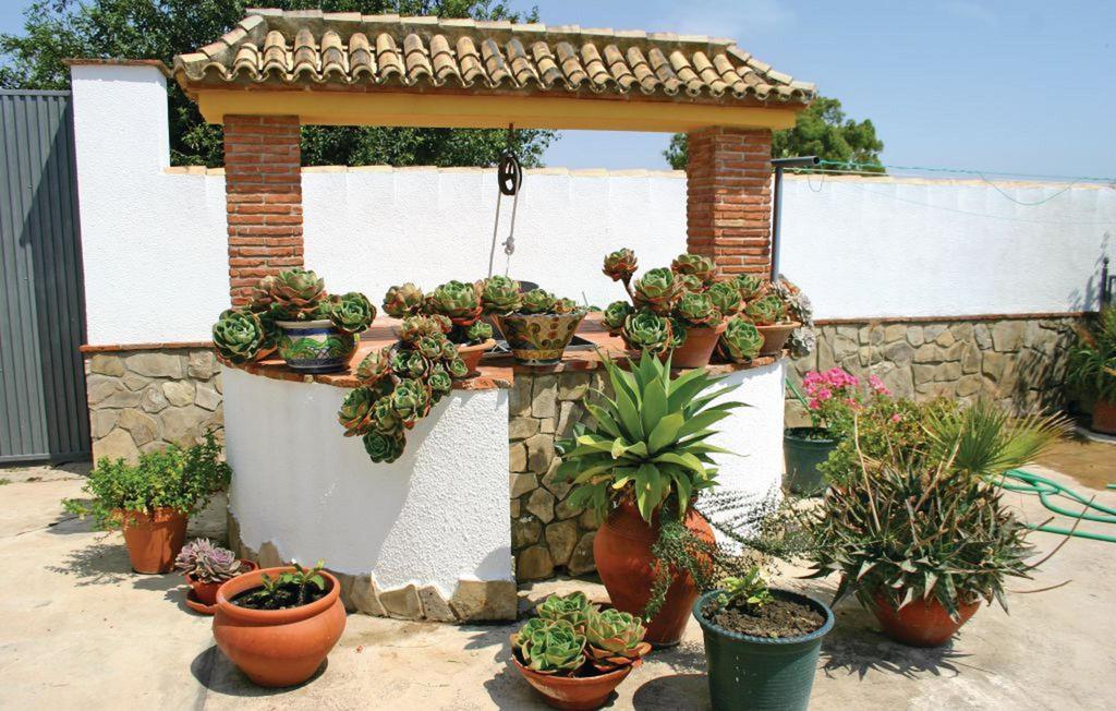 Dehesa Las Yeguas Benalup-Casas Viejas Bagian luar foto